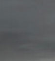 DayZ Info