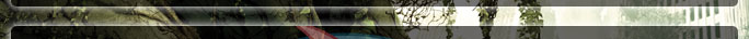 Crysis 3